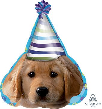 18SHP PARTY HAT PUP (D) sale