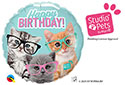 18C HB KITTENS WITH EYEGLASSES (PKG)