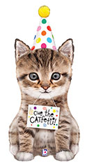 LRG SHP PARTY HAT KITTEN CUE THE CATFETTI 41