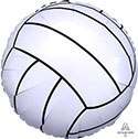 18C CHAMPIONSHIP VOLLEYBALL (PKG)