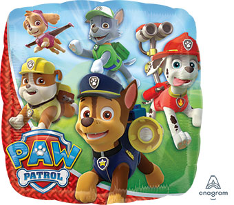 18SQ PAW PATROL (PKG)