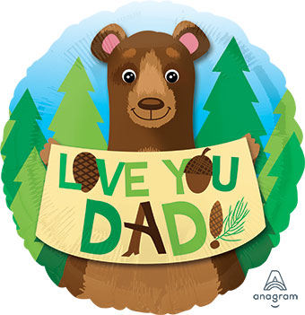 18C LOVE YOU DAD BEAR (PKG)(D) sale