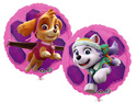 18C PAW PATROL SKYE & EVEREST (PKG)