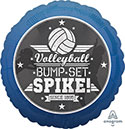 18C VOLLEYBALL BUMP, SET, SPIKE (D) sale