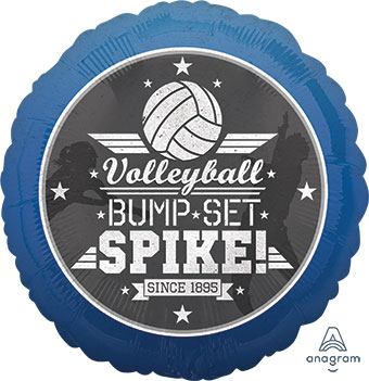 18C VOLLEYBALL BUMP, SET, SPIKE (D) sale