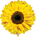 LRG SHP SUNFLOWER YELLOW 24