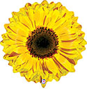 LRG SHP SUNFLOWER YELLOW 24 (POLYBAG/LABEL)(BAG 1)