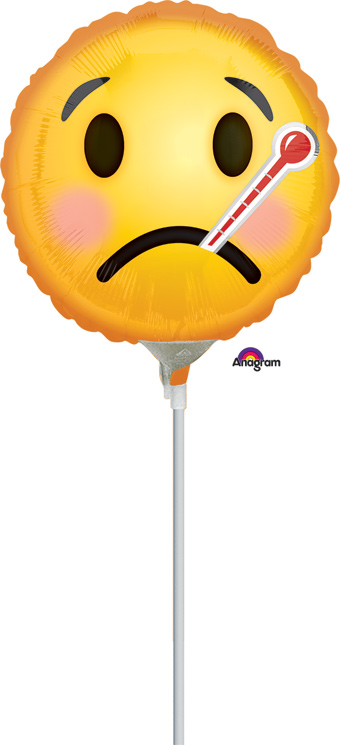 9C EMOJI THERMOMETER AIR FILL ONLY (D)