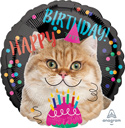 18C HAPPY BIRTHDAY CAT (PKG)(D) sale