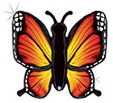 LRG SHP RADIANT BUTTERFLY ORANGE (HOLO) 46 (PKG)