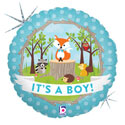 18C IT'S A BOY WOODLAND ANIMALS (HOLO)(PKG)(D)