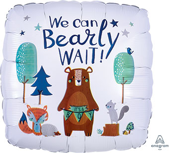 18SQ WE CAN BEARLY WAIT BABY BEAR (D) sale