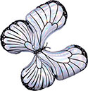 LRG SHP IRIDESCENT BUTTERFLY (HOLO) 30 (PKG)(D) sale