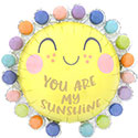 LRG SHP YOU ARE MY SUNSHINE (PKG)(D)