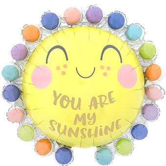 LRG SHP YOU ARE MY SUNSHINE (PKG)(D)