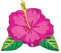 LRG SHP BEAUTIFUL TROPICAL HIBISCUS 27 (PKG)