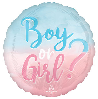 18C THE BIG REVEAL BOY OR GIRL (PKG)