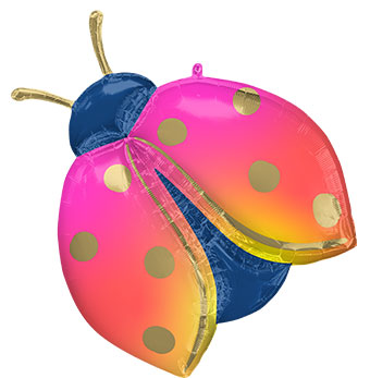 LRG COLORFUL LADYBUG 33 (PKG)