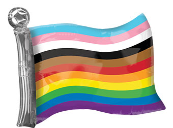 LRG SHP PROGRESS PRIDE FLAG 27 (PKG)