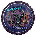 18C BLACK PANTHER WAKANDA FOREVER (PKG)