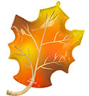 LRG SHP SATIN FALL LEAF 34 (PKG)