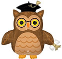 LRG SHP GRADUATE WISE OWL 30 (PKG)