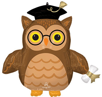 LRG SHP GRADUATE WISE OWL 30 (PKG)