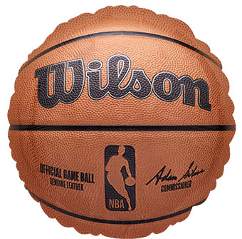 18C NBA WILSON BASKETBALL (PKG)