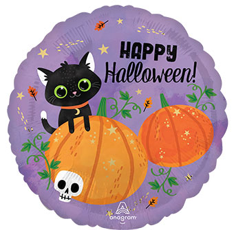 18C HALLOWEEN CAT & PUMPKINS (PKG)