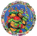 18C TEENAGE MUTANT NINJA TURTLES (PKG)