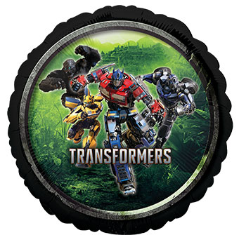 18C TRANSFORMERS (PKG)