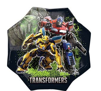 LRG SHP TRANSFORMERS 22 (PKG)