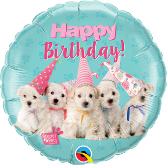 18C HB PARTY HAT PUPPIES STUDIO PETS (PKG)