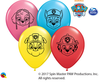 5C PAW PATROL FACES ASST (BAG100)