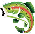 LRG SHP RAINBOW TROUT FISH 29 (HOLO)