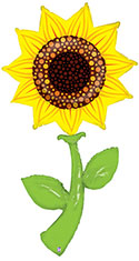 LRG SHP FRESH PICKS SUNFLOWER 60 (BAG 1)(D) sale