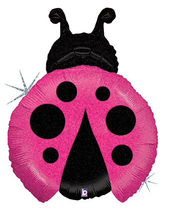 LRG SHP LITTLE LADYBUG MAGENTA 27 (PKG)(D)