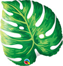 21SHP PHILODENDRON LEAF 21 (PKG)(SOLD IN 5'S)