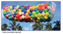 BALLOON DROP NET SYSTEM (PRESTRUNG FOR 1000 9 OR 500 11)